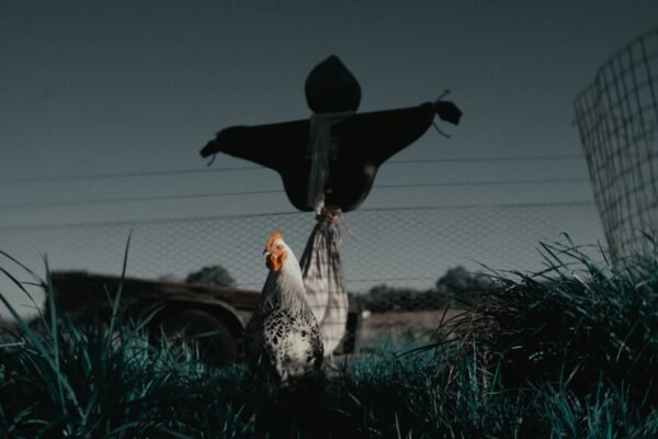 scarecrow Colour 18 - 01